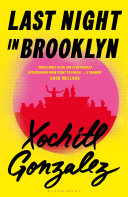 Last night in Brooklyn : a novel
