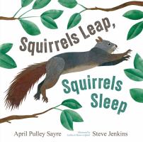 Squirrels Leap, Squirrels Sleep