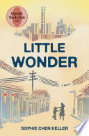 Little wonder : a novel